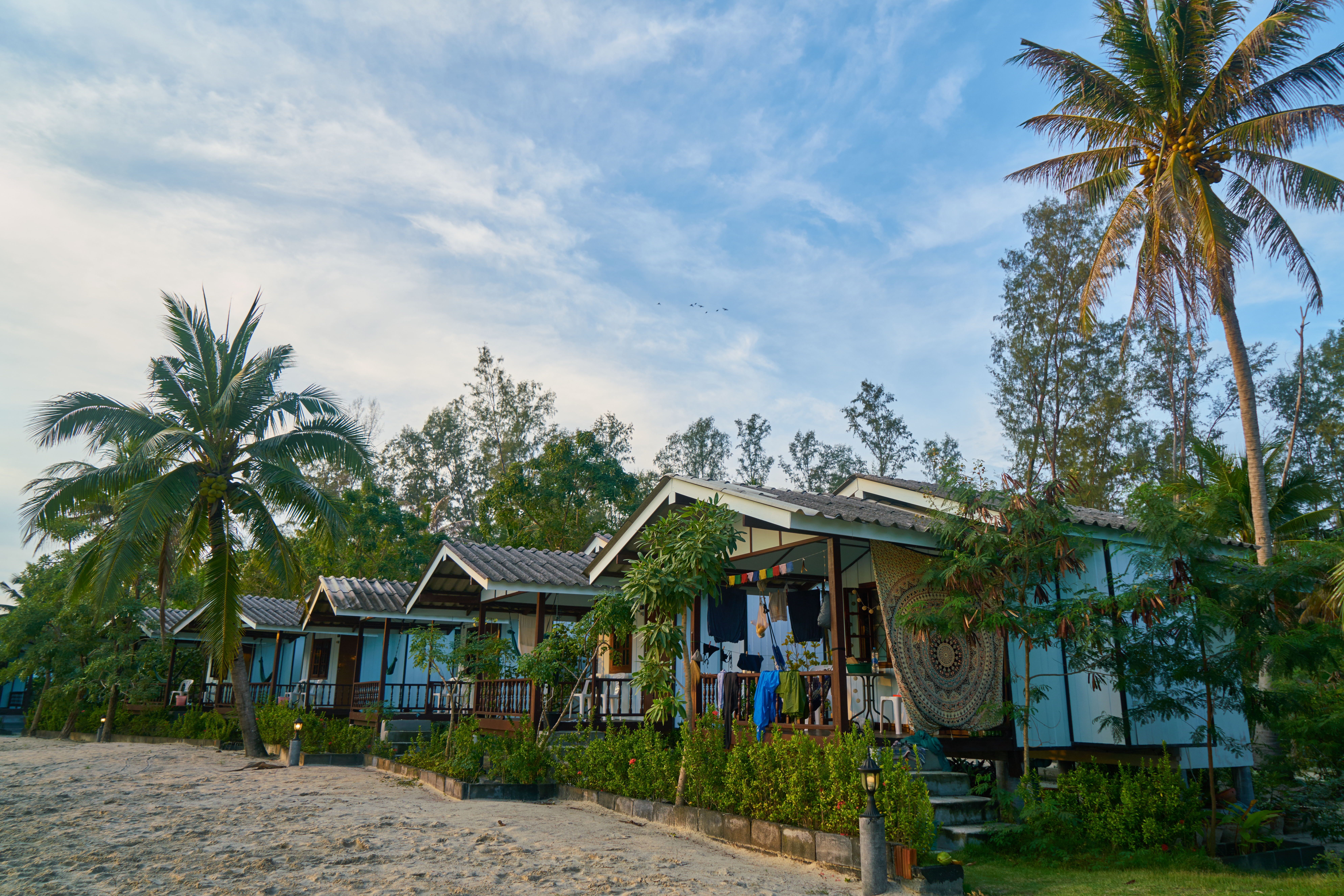 Portrait representing the Akee beta community in Canggu